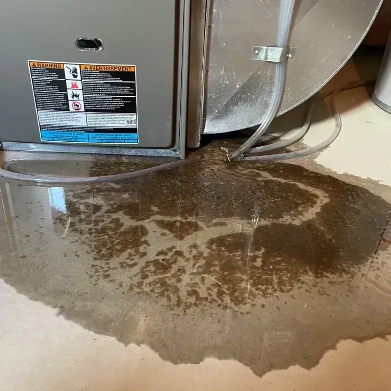 Appliance Leak Cleanup in Avon, PA